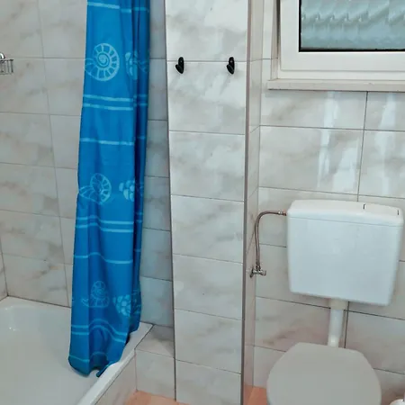 A1 Studio, 2 Personen Daire Ražanj